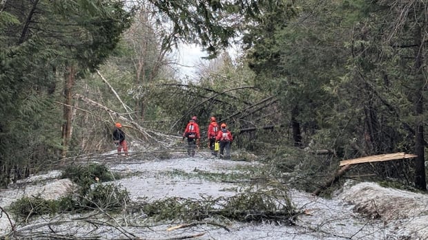 veterans-use-front-line-experience-to-help-peterborough,-ont.,-with-ice-storm-recovery