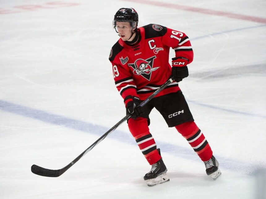 qmjhl-playoffs:-voltigeurs-beat-mooseheads-6-0,-force-game-7