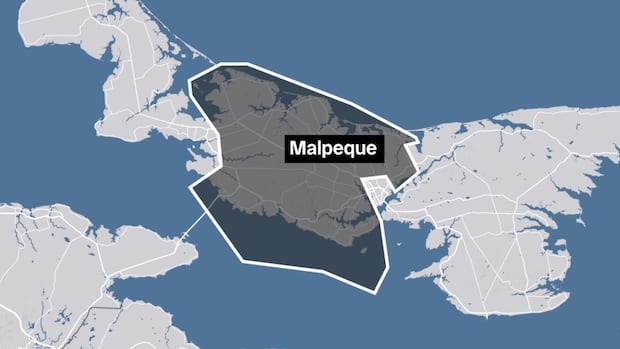 more-candidates-being-added-to-malpeque-special-ballots-after-voters-noticed-only-1-name
