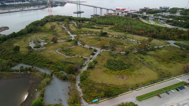 ns-scoops-up-land-at-shannon-park-for-$16.8m,-expects-600-affordable-units-to-be-built