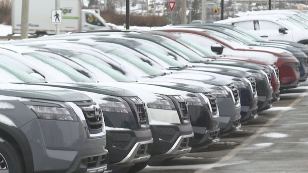 tariff-fears-driving-up-sales-of-non-us-vehicles-on-pei.,-dealers-say