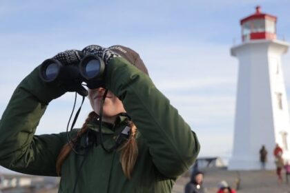 despite-dip-in-visitor-numbers,-ns-tourism-revenue-grew-to-$3.5b-in-2024