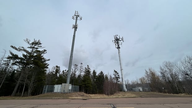 police-say-25-year-old-man-has-died-after-fall-from-riverview-cell-tower