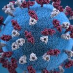 ontario’s-measles-outbreak-is-so-big,-even-new-york-health-officials-are-taking-notice