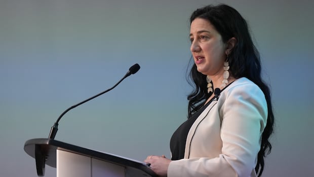 bc.-human-rights-commissioner-finds-guardianship-detentions-of-vulnerable-adults-discriminatory