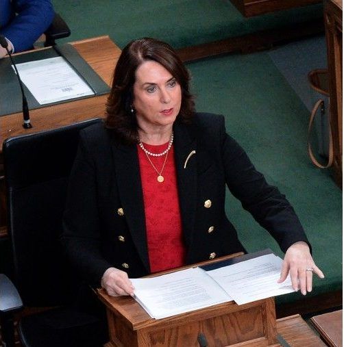 ‘there’s-nothing-new’:-labrador-was-overlooked-in-provincial-budget,-says-mhas