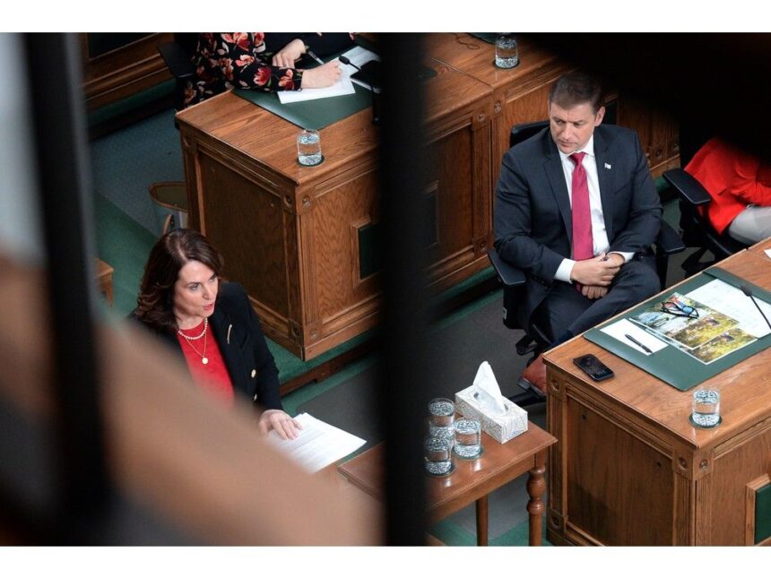 ‘uninspired’-budget-doesn’t-go-far-enough-to-help-people-struggling-in-nl,-say-pc,-ndp-leaders