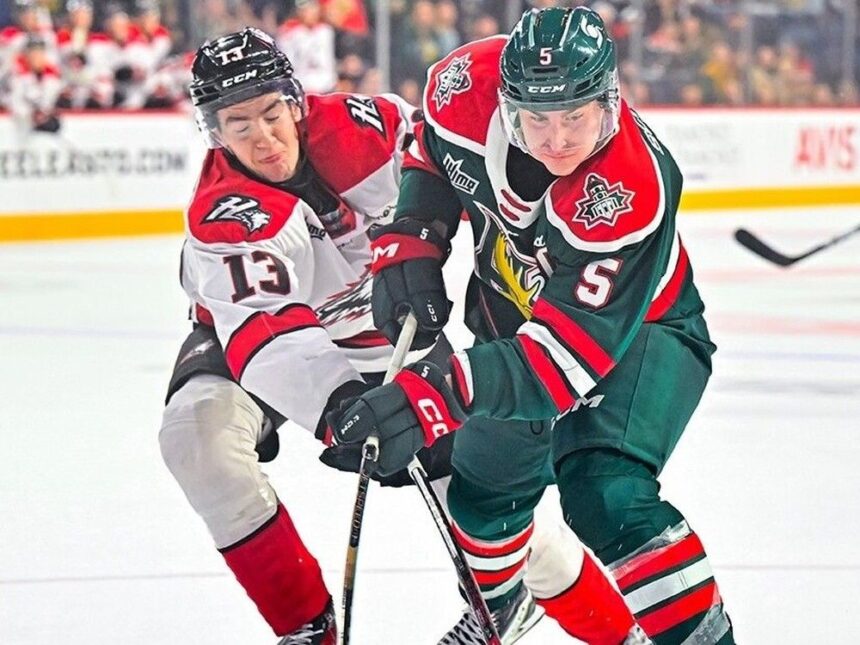 qmjhl-playoffs:-mooseheads-ready-to-take-on-next-goliath:-‘i-don’t-think-we’ve-blinked-once’