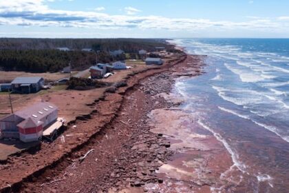 don’t-expect-shoreline-development-ban-to-end-soon,-pei.-environment-minister-says