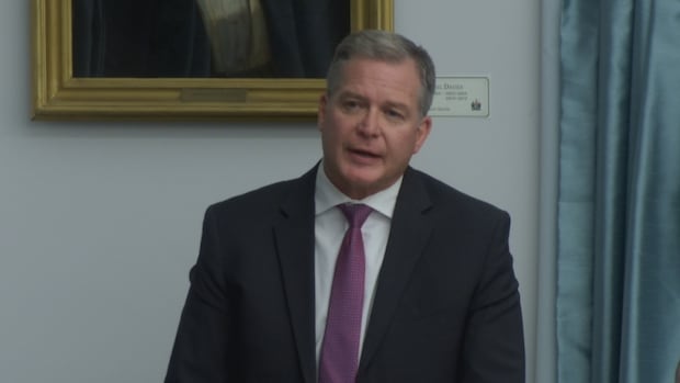 province-moving-ahead-with-plan-to-add-more-long-term-care-beds,-health-minister-says
