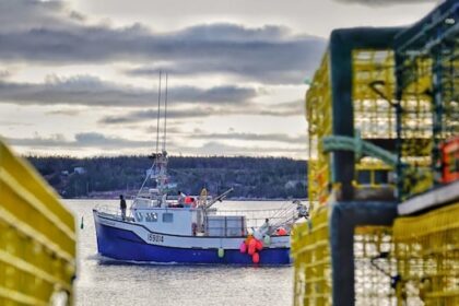 in-fishery-dependent-ns.-ridings,-industry-turmoil-is-central-in-this-election