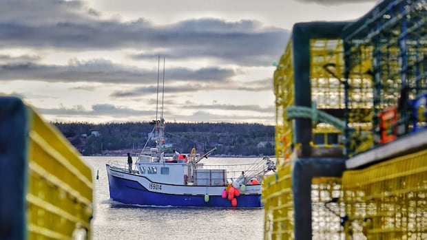 in-fishery-dependent-ns.-ridings,-industry-turmoil-is-central-in-this-election