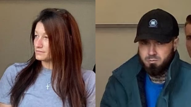 chipman-area-murder-trial-delayed-over-additional-evidence