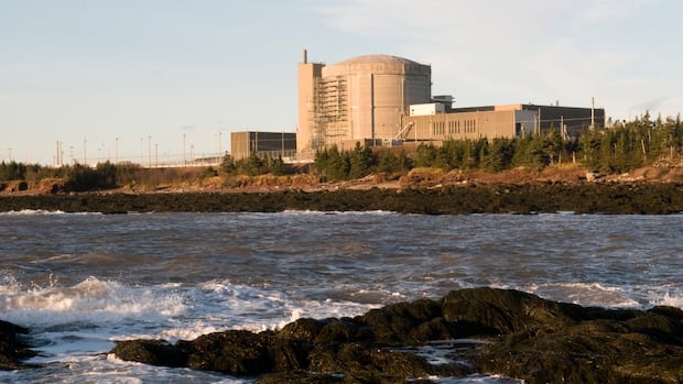 nb.-power-risked-‘fatigue-related-errors’-at-nuclear-plant,-regulator-says
