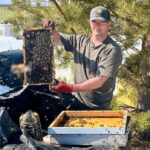 sask.-beekeepers-hope-to-avoid-sting-of-killer-parasite,-tariffs-on-honey-production