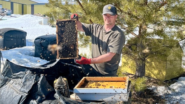 sask.-beekeepers-hope-to-avoid-sting-of-killer-parasite,-tariffs-on-honey-production