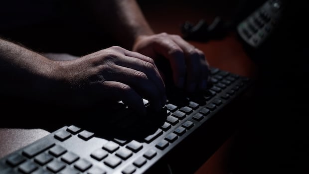 surrey,-bc.,-resident-arrested-as-part-of-global-cybercrime-investigation