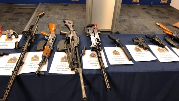 winnipeg-police-destroyed-seized-guns-that-judge-ordered-to-auction,-lawsuit-alleges