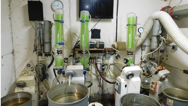 chemist-arrested-during-bust-of-3-lower-mainland-fentanyl-labs
