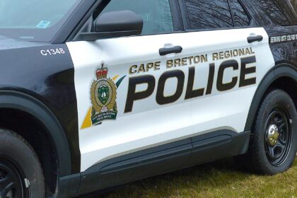 man-charged-for-purse-thefts-in-downtown-sydney:-cape-breton-police