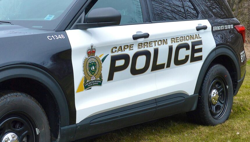 man-charged-for-purse-thefts-in-downtown-sydney:-cape-breton-police