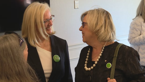 federal-greens-hope-to-retake-fredericton,-with-help-from-nb.-counterparts
