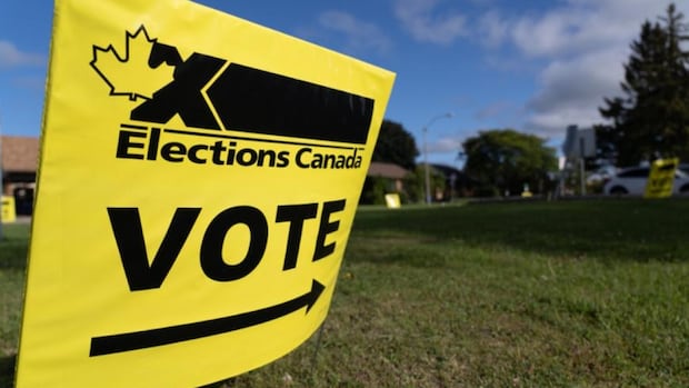 return-of-on-campus-early-voting-spurs-hopes-more-ballots-will-be-cast-by-young-adults