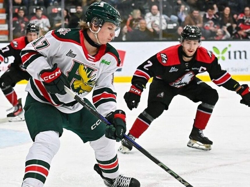 qmjhl-playoffs:-mooseheads-head-home-after-dropping-opening-two-games-of-series-with-huskies