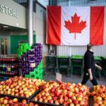 can-canada-grow-more-of-its-own-food?-greenhouses,-vertical-farming-make-it-possible,-experts-say