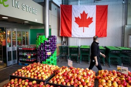 can-canada-grow-more-of-its-own-food?-greenhouses,-vertical-farming-make-it-possible,-experts-say