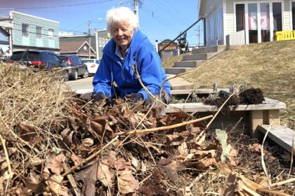 in-photos:-giving-north-sydney’s-downtown-a-good-outdoor-cleanup