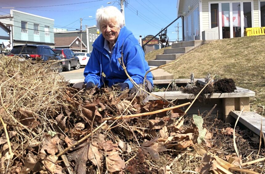 in-photos:-giving-north-sydney’s-downtown-a-good-outdoor-cleanup