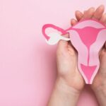 pei.-menopause-events-prompt-conversations-about-women’s-health