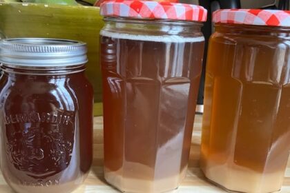 urban-sugaring-a-success-for-one-haligonian,-but-city-not-so-sweet-on-idea
