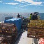 what-ns.-lobster-fishermen-hope-to-see-after-the-election