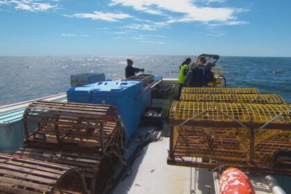 what-ns.-lobster-fishermen-hope-to-see-after-the-election