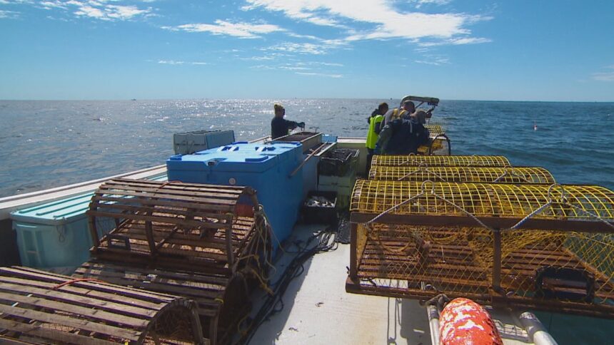 what-ns.-lobster-fishermen-hope-to-see-after-the-election