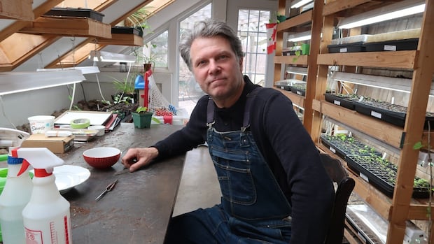annapolis-valley-family-keeps-century-old-seed-tradition-alive
