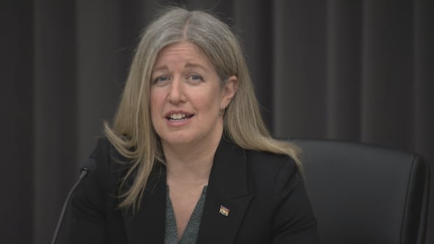 holt-liberals-set-one-year-timeline-for-nb.-power-review