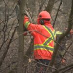 manitoba-will-expropriate-lemay-forest-to-turn-into-provincial-park,-premier-says