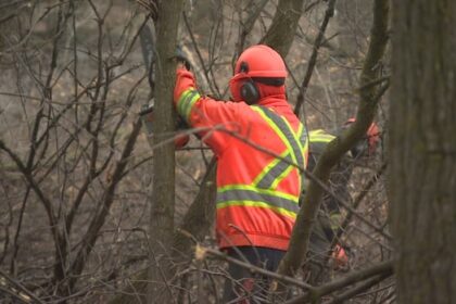 manitoba-will-expropriate-lemay-forest-to-turn-into-provincial-park,-premier-says