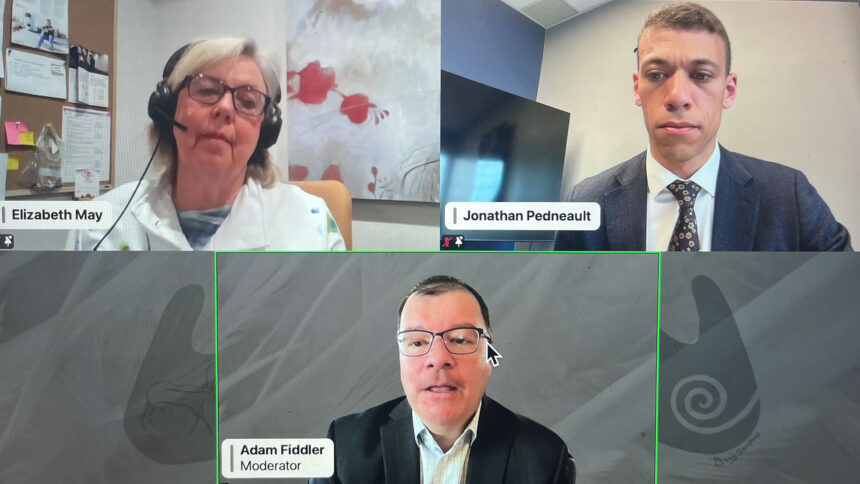 afn-election-forum-begins-with-greens-the-first-to-face-chiefs