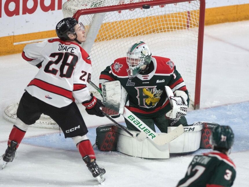 qmjhl-playoffs:-huskies-wearing-down-mooseheads,-take-3-0-series-lead