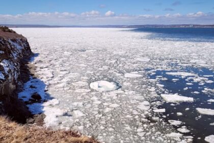 nova-scotia-moves-forward-with-plan-for-municipalities-to-protect-coastlines