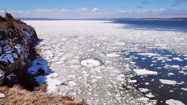 nova-scotia-moves-forward-with-plan-for-municipalities-to-protect-coastlines