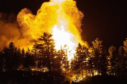 province-ramping-up-preparation-for-wildfire-season