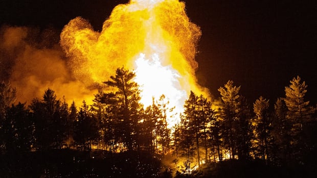 province-ramping-up-preparation-for-wildfire-season