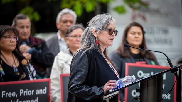 first-nation-challenges-bc.’s-approval-to-raise-mount-polley-mine-tailings-dam