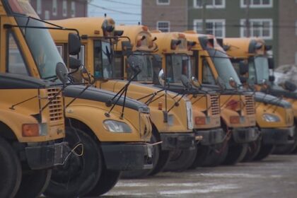 snowstorm-closes-some-schools-in-northern-nb.