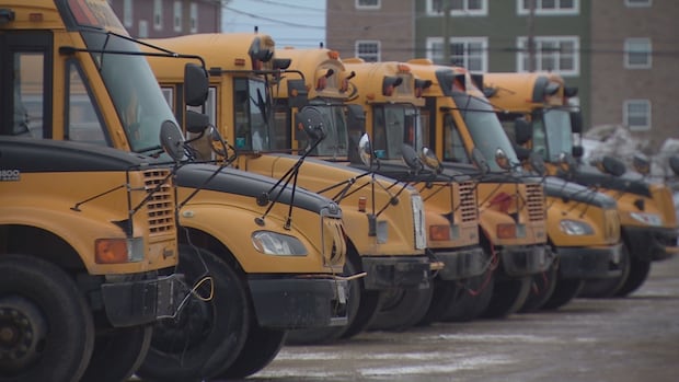 snowstorm-closes-some-schools-in-northern-nb.